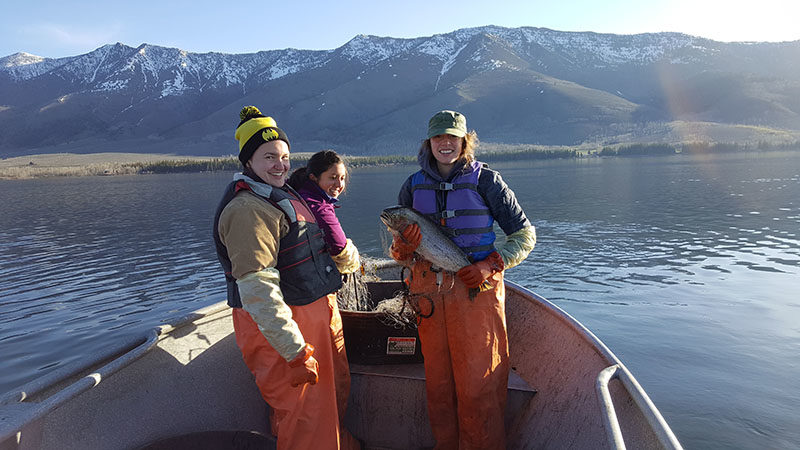 Schiess: A great catch at Henrys Lake | East Idaho News