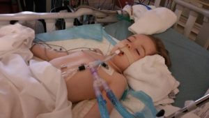 13256546_1342744479073628_6056610919809335704_n