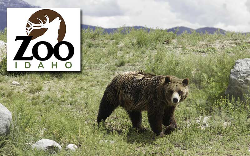 Zoo Idaho in Pocatello opens for the season East Idaho News