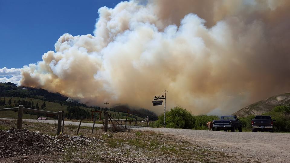 13754196_230116097382000_8683055950199316577_n