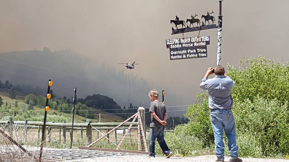 13769406_230116034048673_6938053397277053988_n