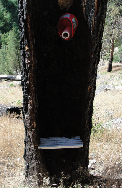 skinny-dipper-hot-springs-3