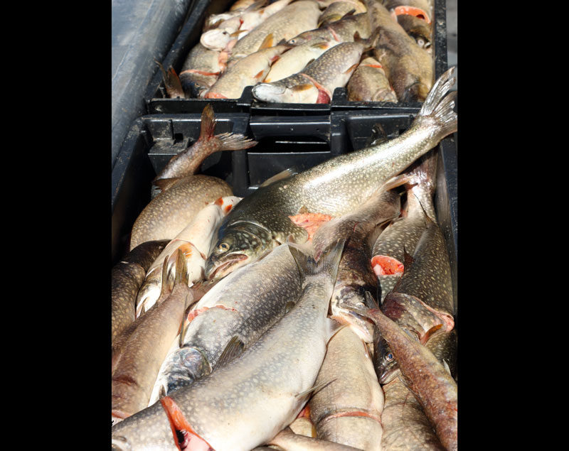 Fish and Game to restock popular fishing locations in eastern Idaho through September East