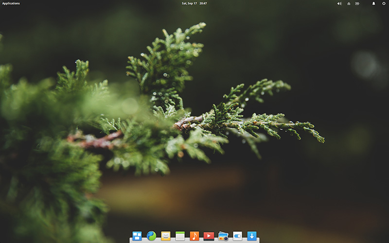 elementaryos_loki