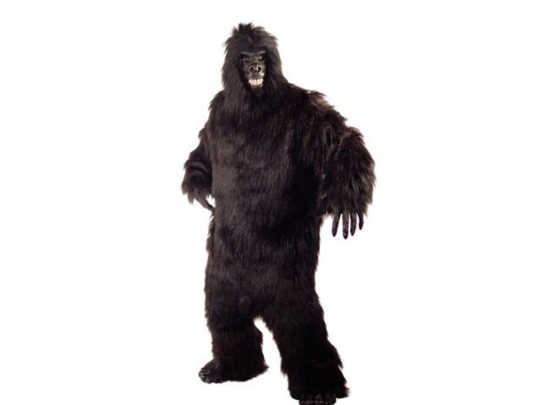 monkeyjp