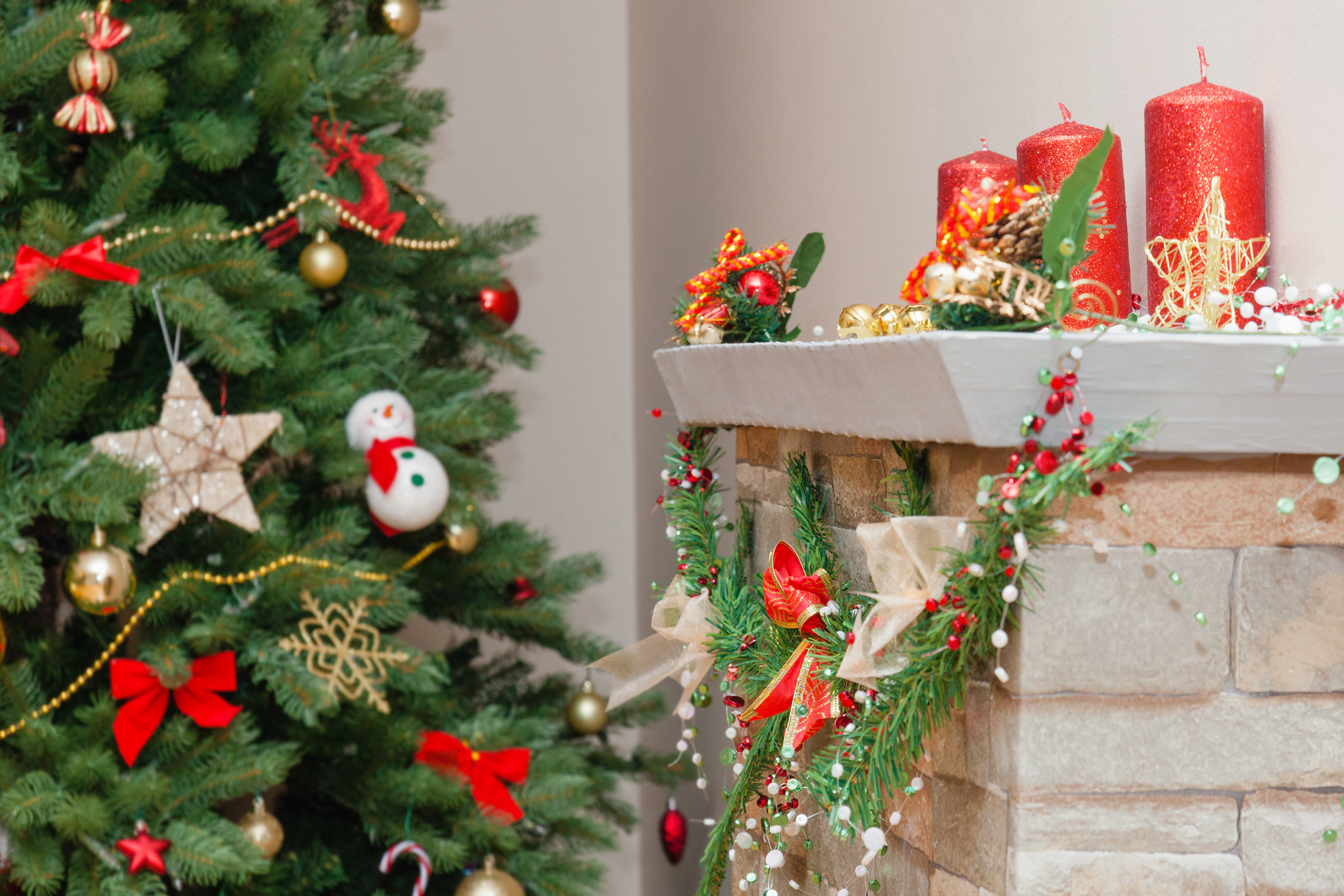 where to get rid of your christmas tree east idaho news where to get rid of your christmas tree east idaho news