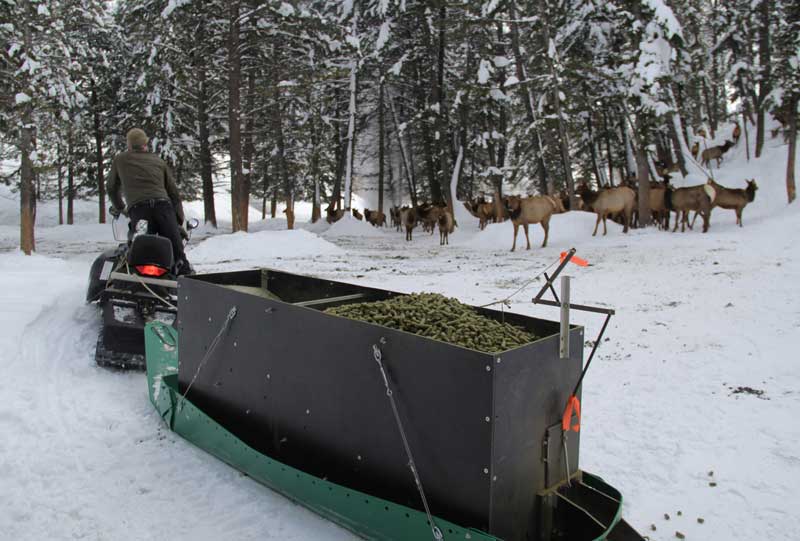 Feeding the Wild Emergency feed sites open for big game East Idaho News