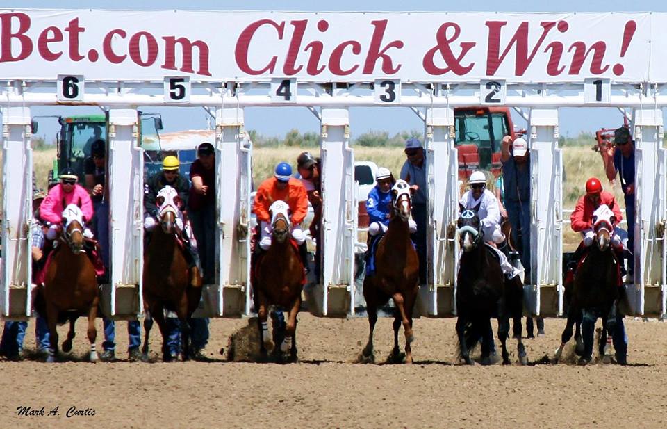 Horse racing at Pocatello Downs back in the saddle East Idaho News