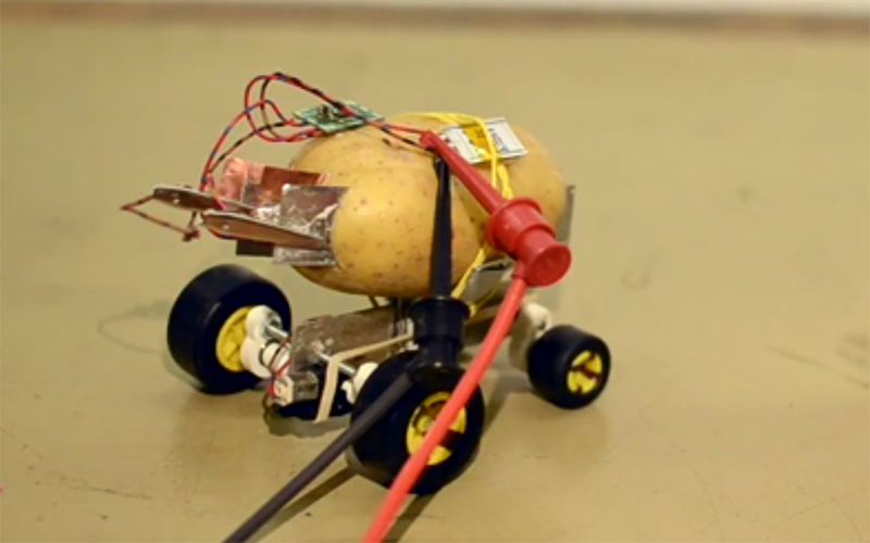 WATCH Meet the amazing selfdriving potato East Idaho News