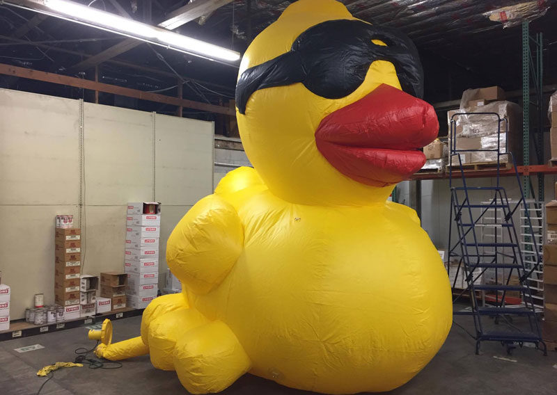Duck Truck2