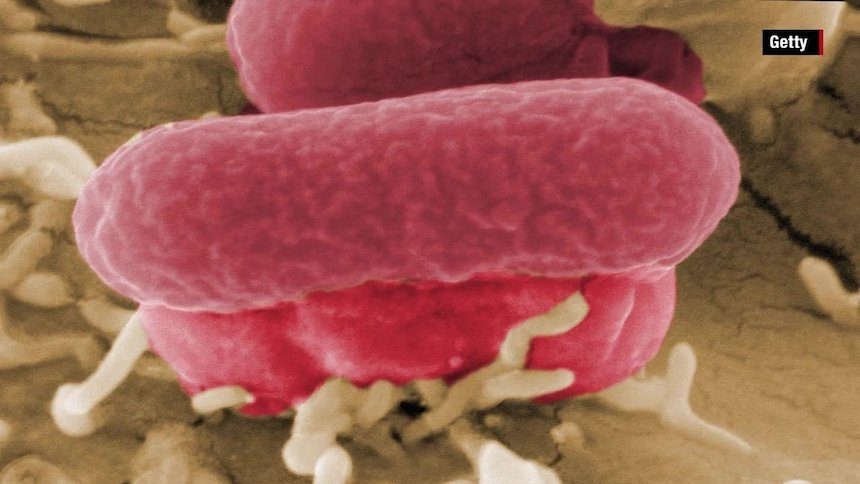 CDC warns against eating any romaine lettuce