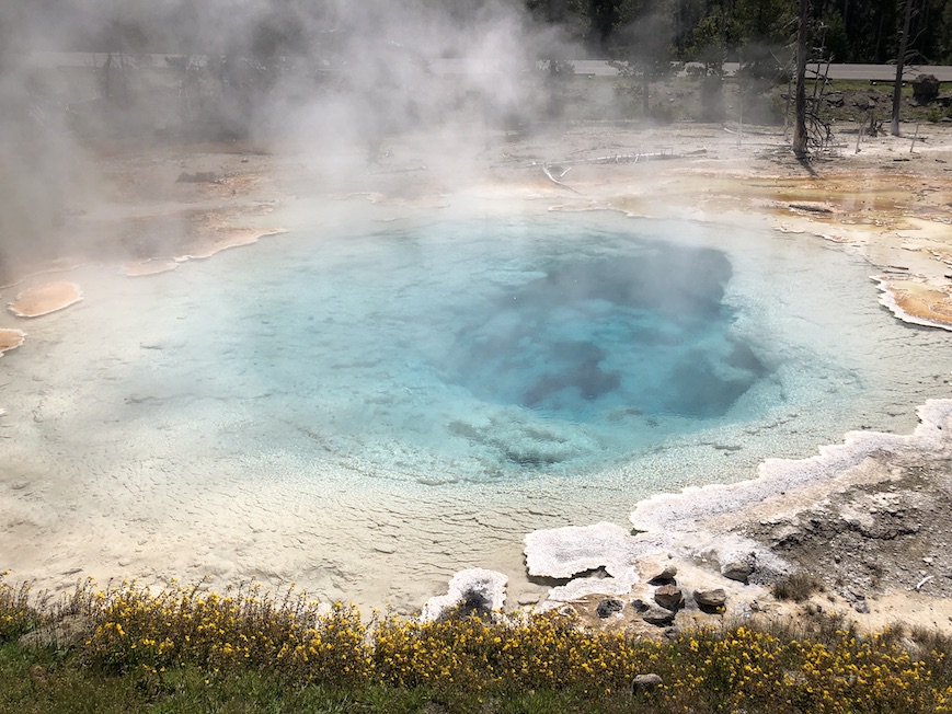 Woman flown to EIRMC after trying to save dog from Yellowstone hot spring - Vimarsana News