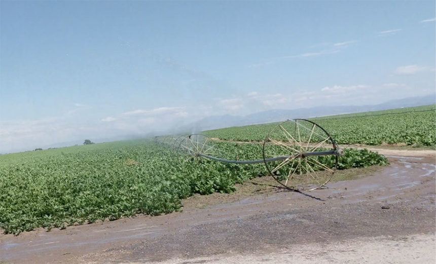 farm