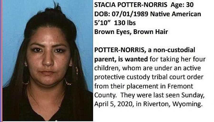 Stacy Potter