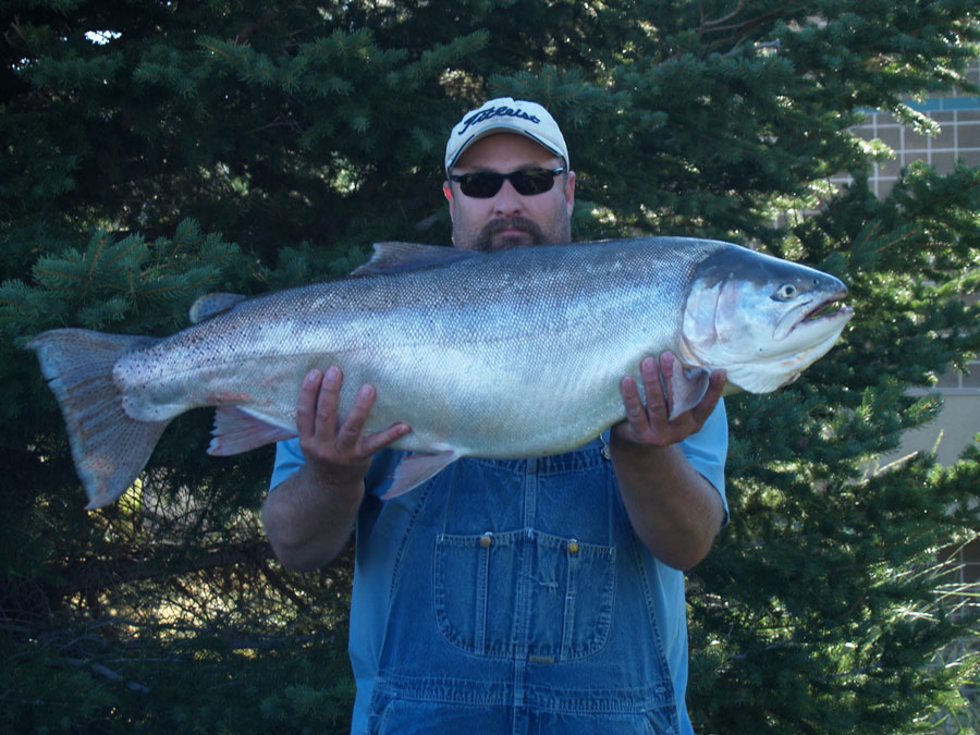 trolling pop gear for trout