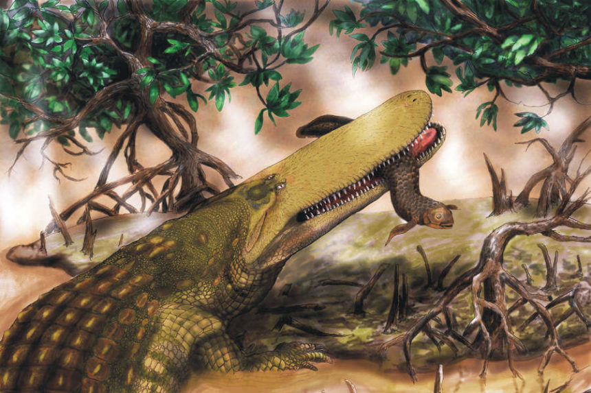 aegisuchus