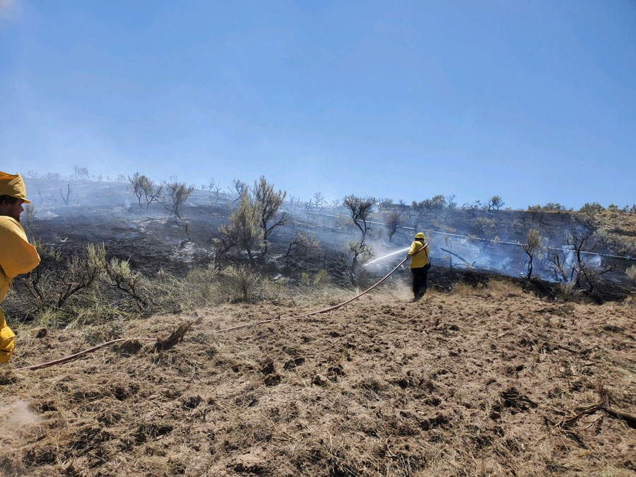 Field fire burns over 100 acres in Shelley, now 100 contained East