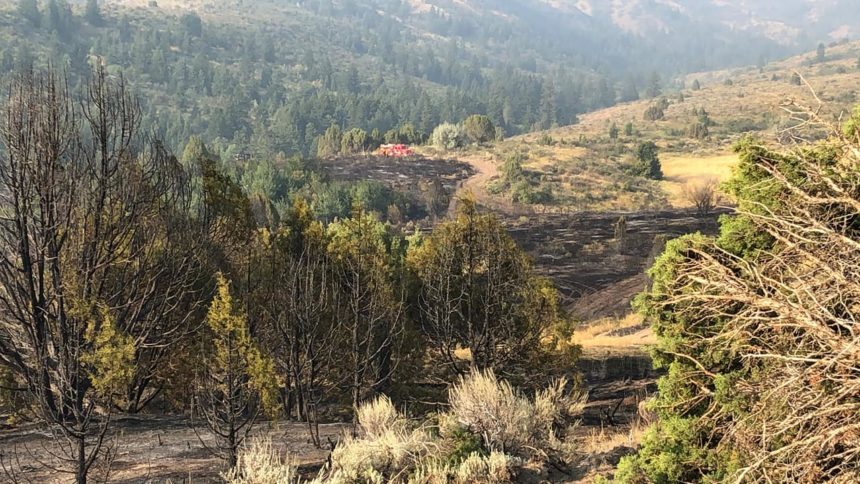 Wild Mountain Fire1