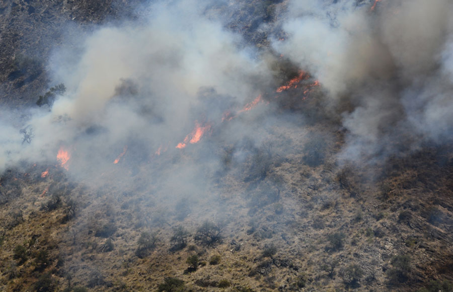 wildfire