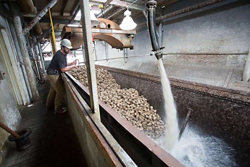 5 hurt in explosion at Idaho sugarbeet plant East Idaho News