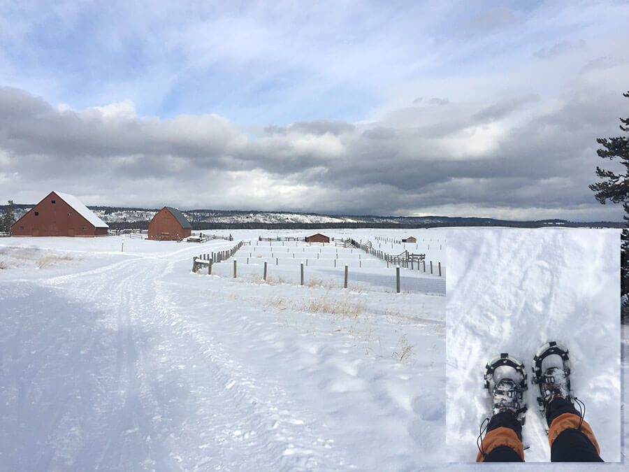 Don't miss these local attractions this winter - Vimarsana News