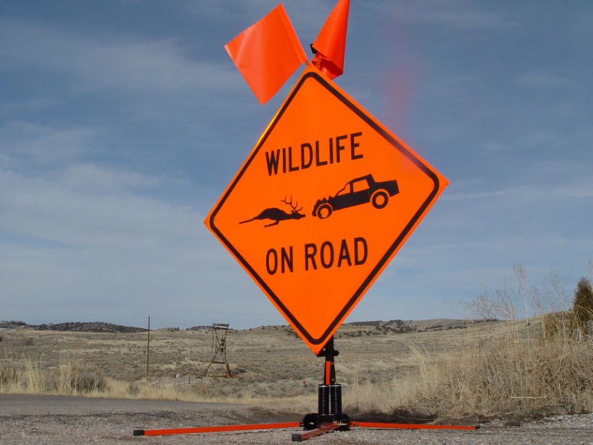 Road Kill