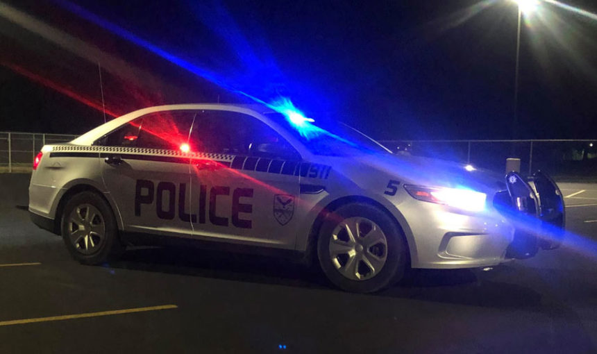 rigby police car 2
