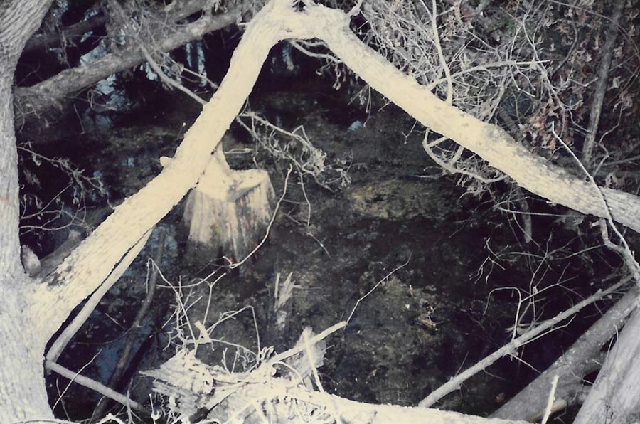 Woman taken as a baby reunites with her swamp rescuer. But questions linger over her disappearance. - Vimarsana News