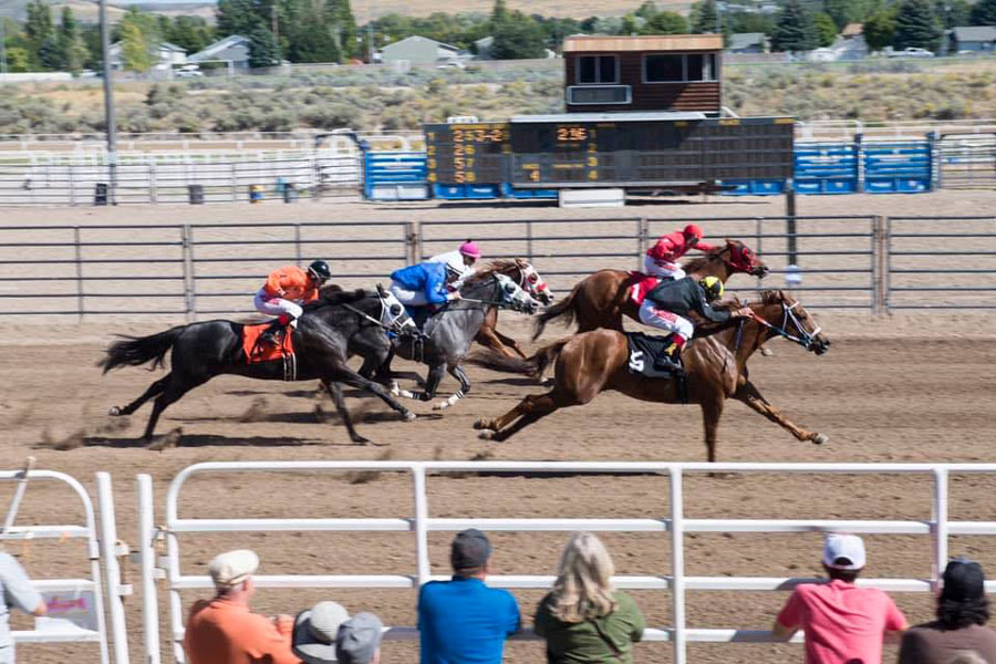 Idaho horse racing industry will survive, but it was a photo finish - Vimarsana News