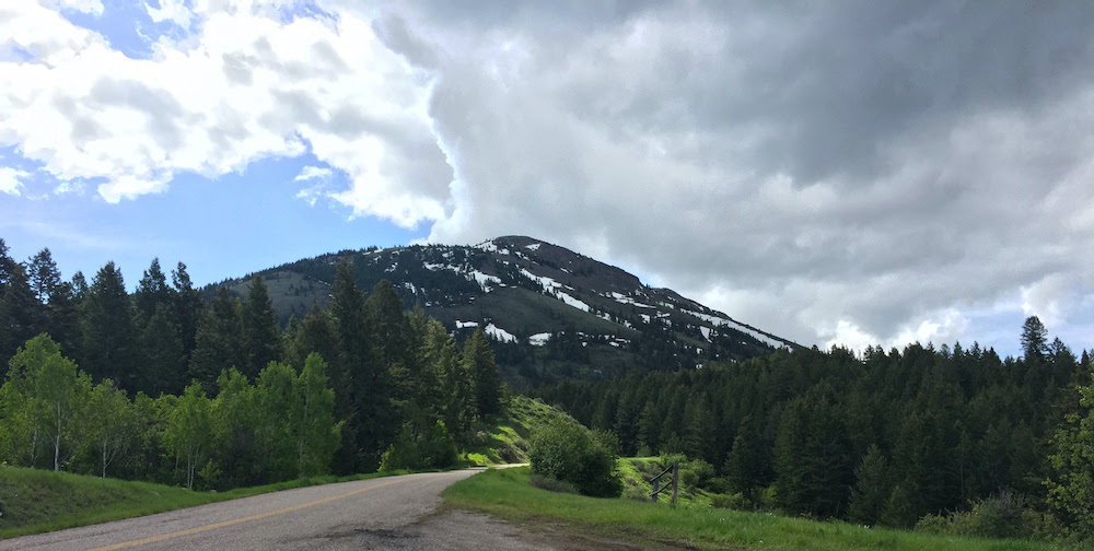 Caribou-Targhee National Forest to revitalize the East Mink Creek Corridor - Vimarsana News