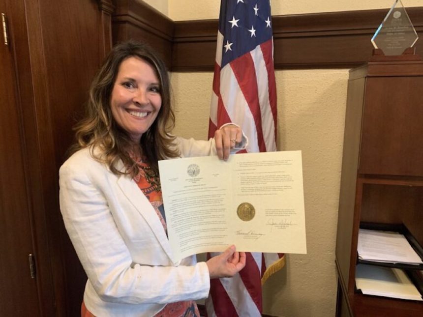 Janice McGeachin Exec order