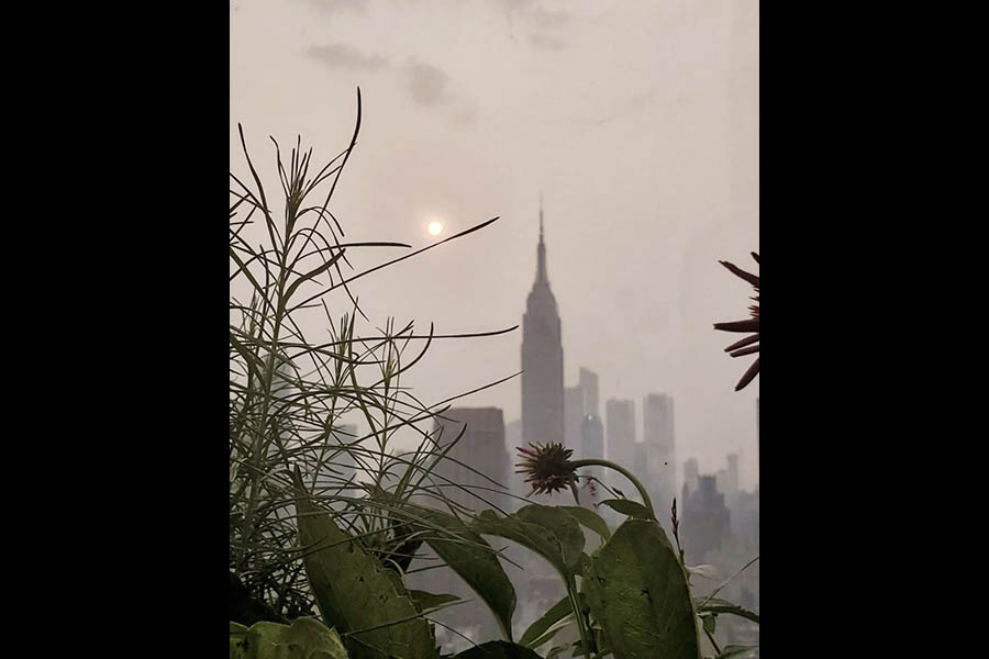 Smoke from the Western wildfires is so widespread, it reached New York City - Vimarsana News
