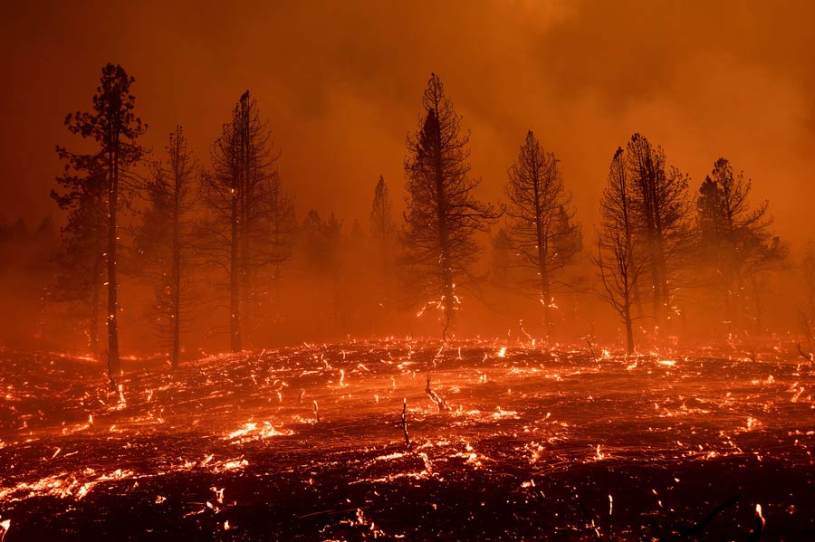 Extreme weather is upending lives in the West. 'You walk around with this vague sense of terror.' - Vimarsana News