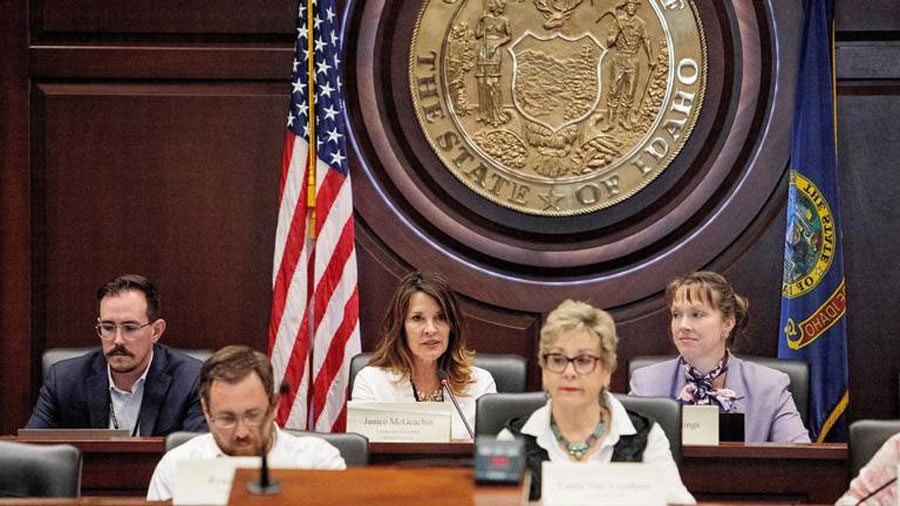 Idaho leaders don't act on McGeachin legal fee request - Vimarsana News