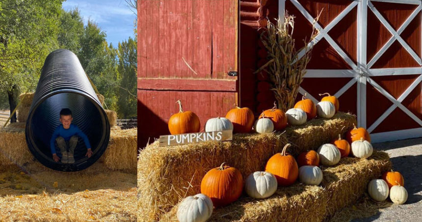fall festival pic