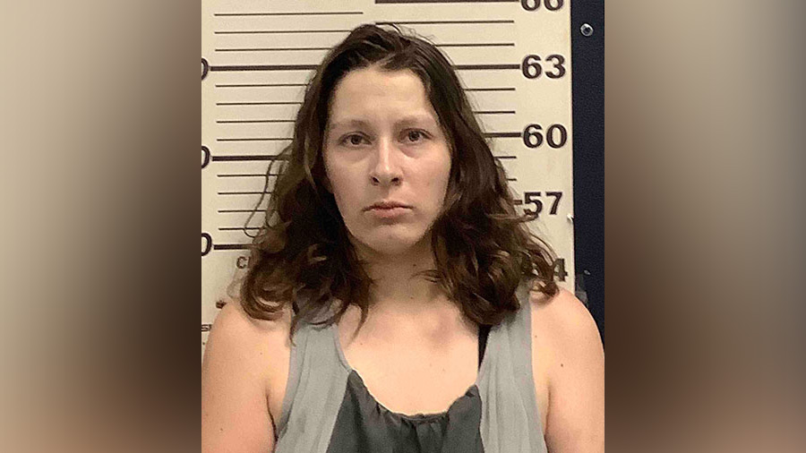 Woman sentenced after hiding with a baby in bushes as police investigated a burglary - Vimarsana News