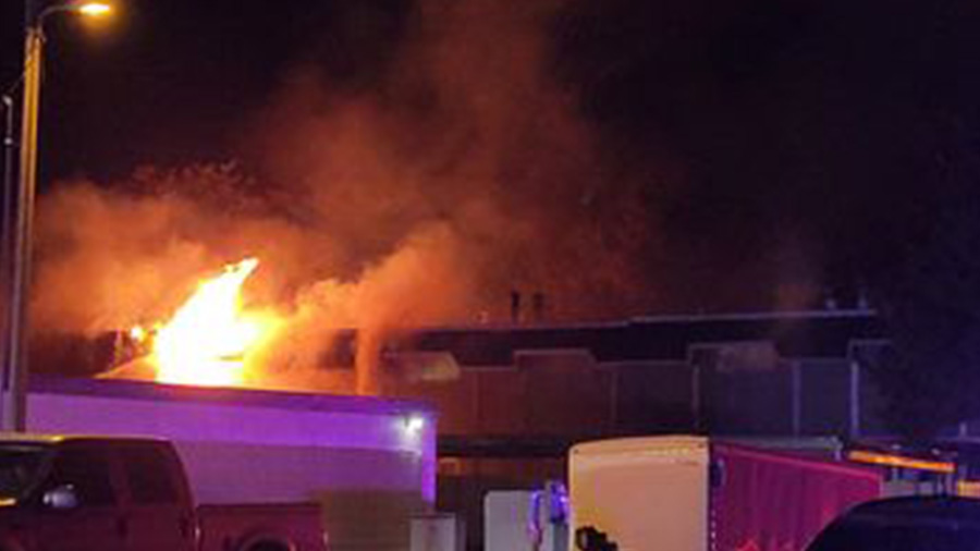 Dogs, cats, snake rescued as fire rips through townhomes - Vimarsana News