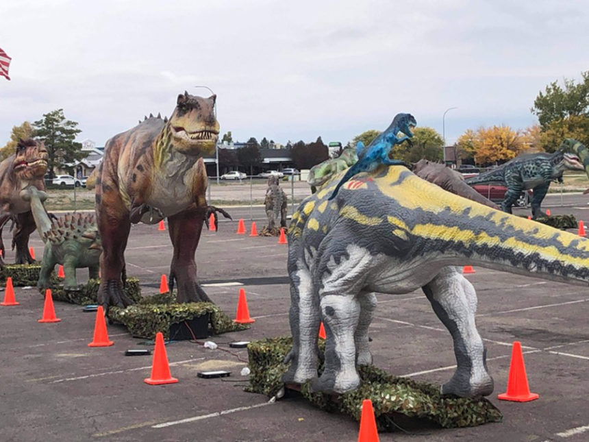 DINO3