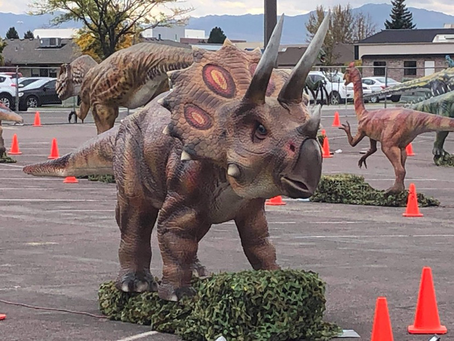 DINO1