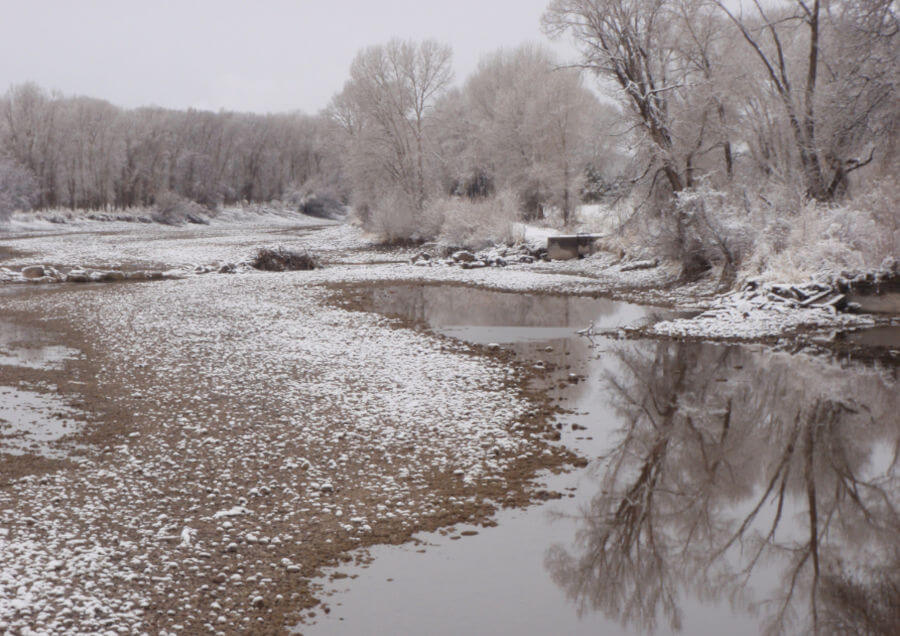 Fish salvage order issued for canals in the Upper Snake - Vimarsana News