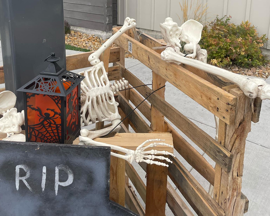 'Everything was torn apart.' Vandals destroy Halloween decorations at Hemming Village. - Vimarsana News