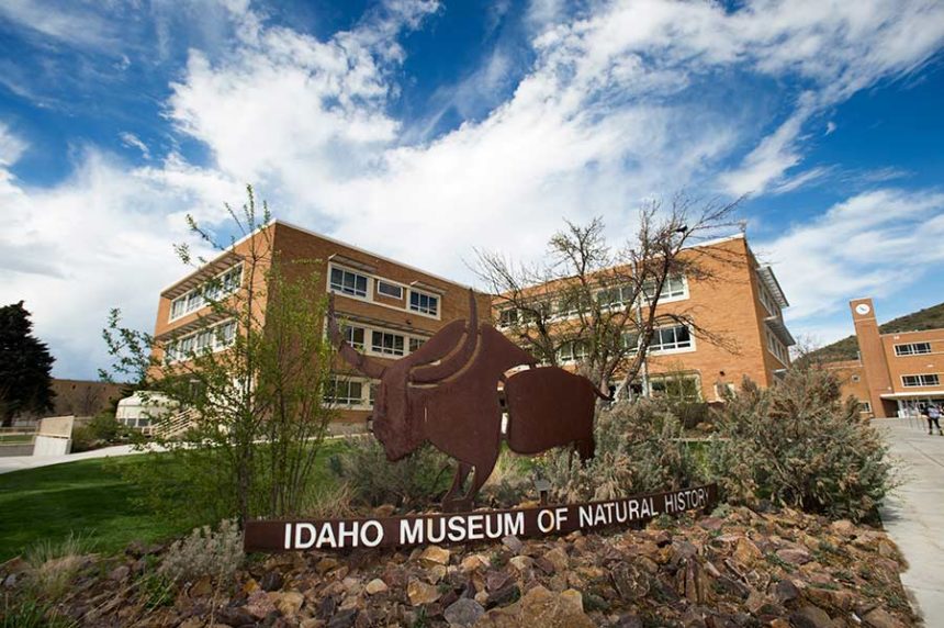 Idaho Museum of Natural History