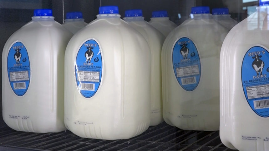 Reeds Dairy milk