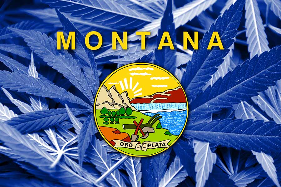 Montana producers prepare for recreational marijuana Jan. 1 - Vimarsana News