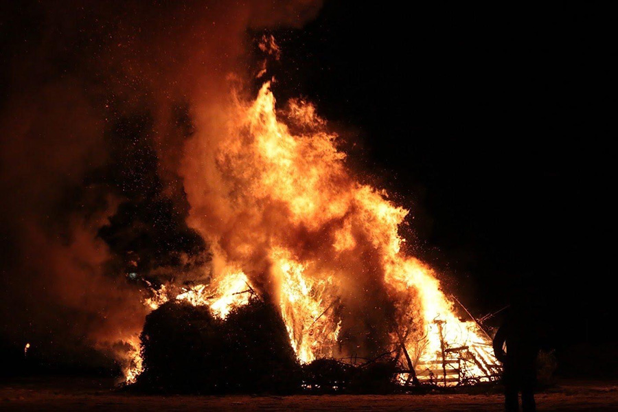 Bring your Christmas tree to McCowin Park for a giant bonfire - Vimarsana News