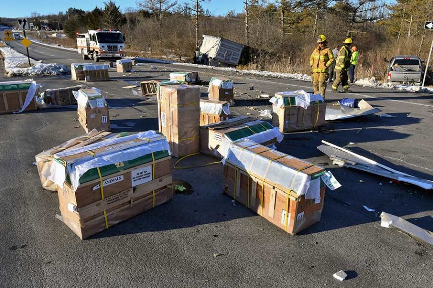monkey crates in crash