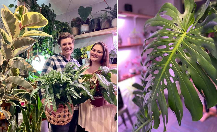 Plants were their escape from Covid isolation and now they own a shop in Rexburg - Vimarsana News