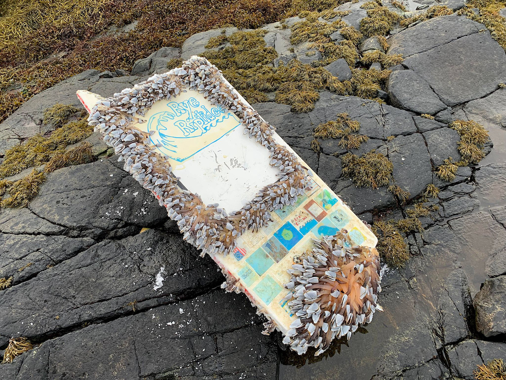 Middle schoolers launched a boat from New Hampshire in 2020. It was found in Norway 462 days later - Vimarsana News