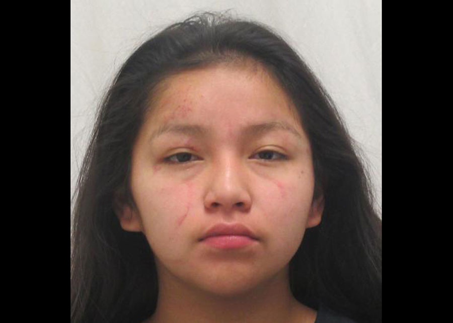 Fort Hall woman accused of kicking officer gets plea deal - Vimarsana News