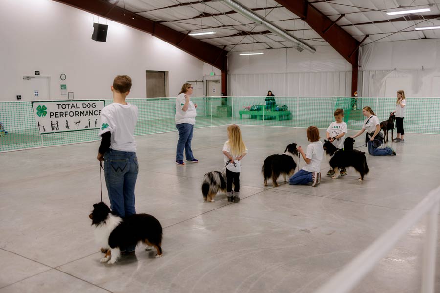 Business gifts $900 show ring to local dog club - Vimarsana News